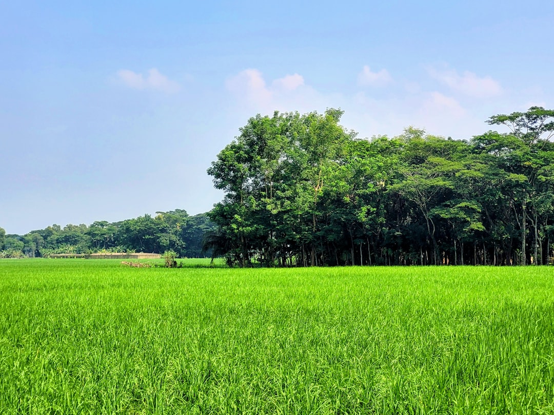 Kerangka Manajemen Data dan Keamanan pada IoT Pertanian: Arsitektur, Enkripsi, dan Kepatuhan Privasi